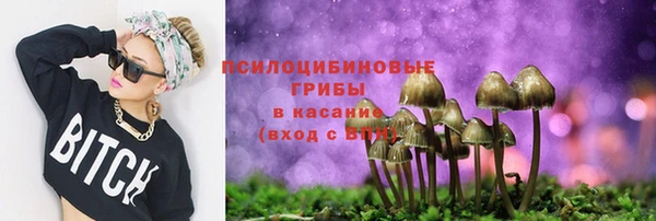 молекула духа Алексеевка