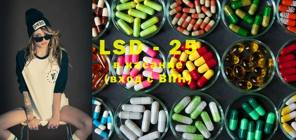 PSILOCYBIN Алзамай