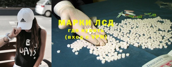 PSILOCYBIN Алзамай