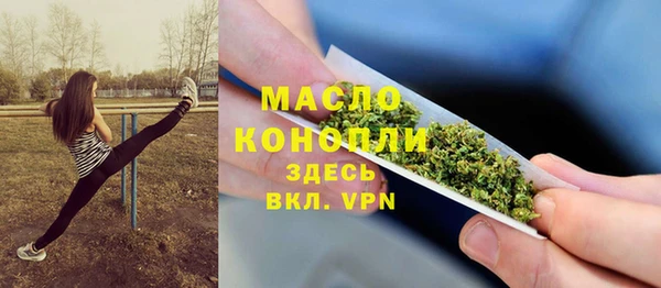 молекула духа Алексеевка