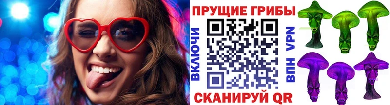 Галлюциногенные грибы Psilocybe  Судак 